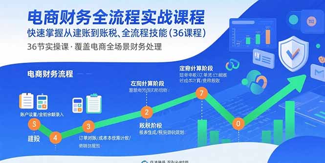 电商财务全流程实战课程：快速掌握从建账到报税的全流程技能(36节课-十一网创