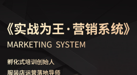 老杨·服装老板必修课《实战为王-营销系统》实现业绩被动式增长-十一网创