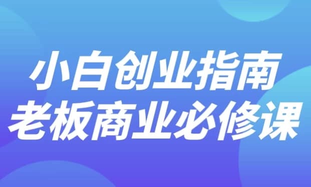 小白创业指南老板商业必修课-十一网创