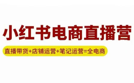申铭老师·小红书电商直播营(更新)-十一网创