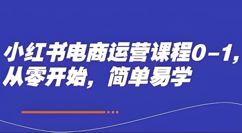 小红书电商运营课程0-1，从零开始，简单易学-十一网创