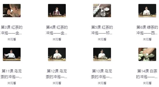 全套茶艺课程：零基础也能学会，轻松掌握茶艺精髓-十一网创