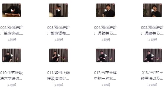 14天养元筑基进阶训练营-十一网创