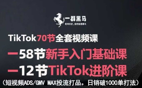TikTok全套视频课，新手入门+进阶课，短视频ADS-GMVMAX投流打品，日销破1000单打法-十一网创