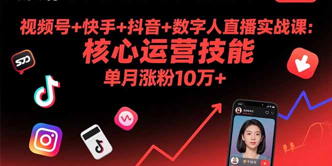 视频号+快手+抖音+数字人直播实战课(9月-十一网创
