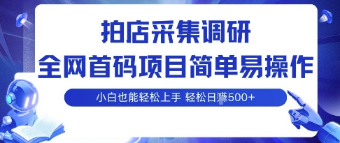 拍店采集调研，全网首码项目，简单易操作，小白也能轻松上手，多账号操作，轻松日入5张【揭秘】-十一网创