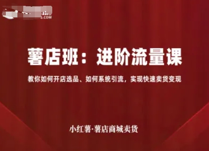 小红薯薯店商城卖货，进阶流量课，教你如何开店选品、如何系统引流，实现快速卖货变现-十一网创