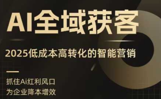 AI全域获客实训营，2025低成本高转化的智能营销，精准找客，高效营销-十一网创