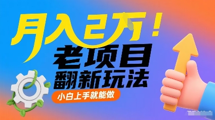 月入2W！老项目翻新玩法，小白上手就能做，非常容易上手-十一网创
