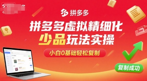 拼多多虚拟精细化少品玩法实操，小白0基础轻松复制-十一网创