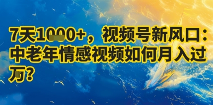7天收益1k+，视频号新风口：中老年情感视频如何月入过W?-十一网创