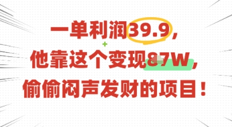 一单利润39.9，有人靠这个变现几十个，偷偷闷声发财的项目-十一网创
