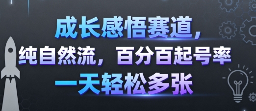 成长感悟赛道，纯自然流，百分百起号率一天轻松多张-十一网创