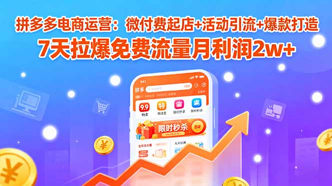 拼多多电商运营：微付费起店+活动引流+爆款打造7天拉爆免费流量月利润2w+-十一网创