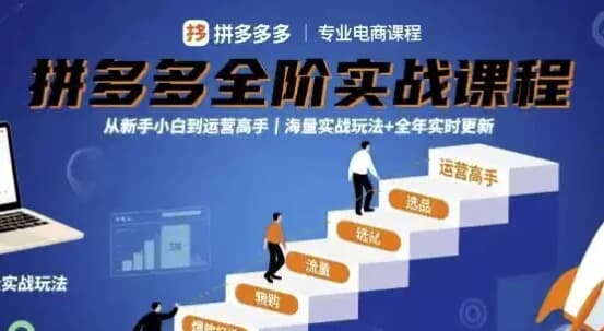 大炮拼多多全阶实战课程，从新手小白到运营高手，海量实战玩法+全年实时更新【2025年9月更新】-十一网创