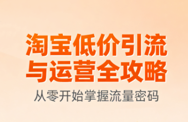 淘宝低价引流与运营全攻略(更新9月)-十一网创