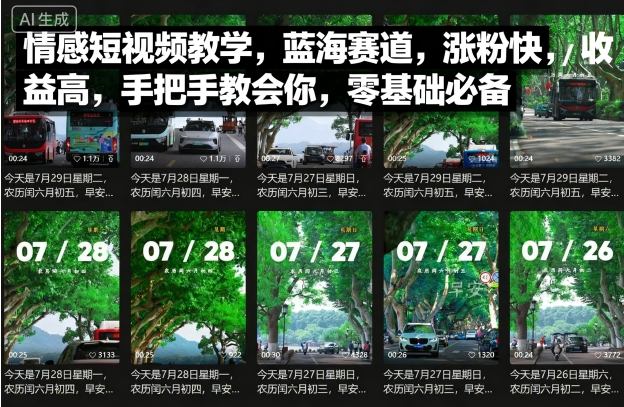情感短视频教学，蓝海赛道，涨粉快，收益高，手把手教会你，零基础必备-十一网创