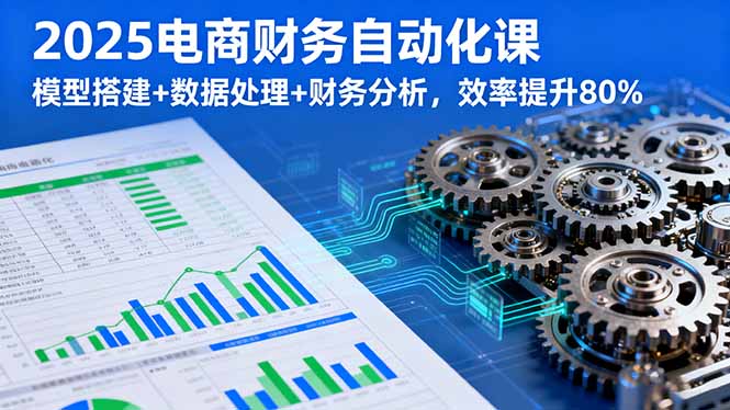 2025电商财务自动化课，模型搭建+数据处理+财务分析，效率提升80%-十一网创