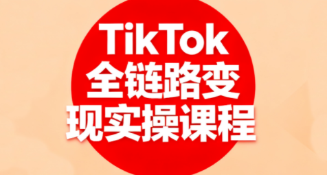 小杨老师·TikTok全链路变现实操课程-十一网创